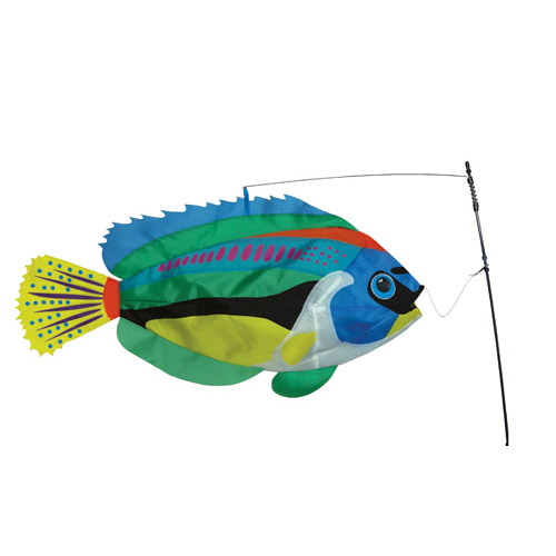 # 26511 : Peacock Wrasse  Swimming Fish  upc#  630104265113